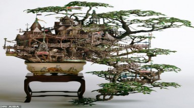 Những kiểu bonsai siêu lạ