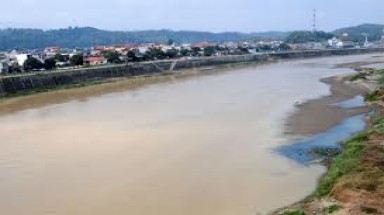 Cà Mau: Nước trên sông Cái Tàu có độc tố