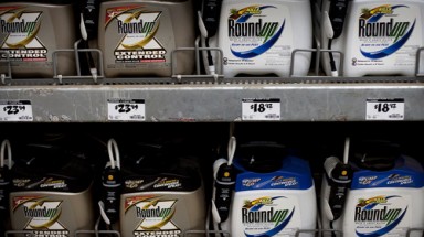 Vết nhơ môi trường của Monsanto
