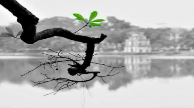 Từ ngày 22/2, Bắc bộ trời chuyển rét