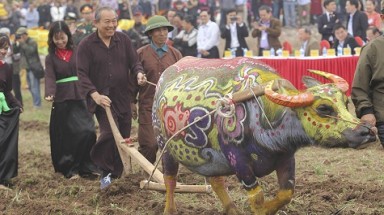 Phó Thủ tướng Thường trực xuống đồng cày Tịch điền