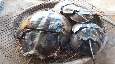 "Đặc sản" chết người