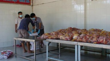 TPHCM: Bắt giữ hàng trăm kg thịt gà thối