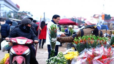 Mưa rét kéo dài đợt nghỉ Tết khắp miền Bắc - Trung