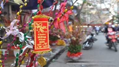 Công sở đau đầu vì chuyện xông đất