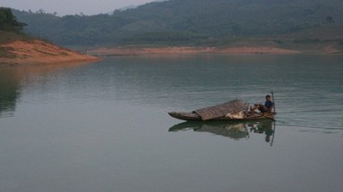  Câu chyện hòn đảo đầy ngan, vịt bị cô lập giữa hồ Thác Bà