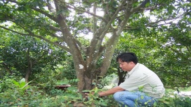  Khu vườn lạ của chàng trai trẻ