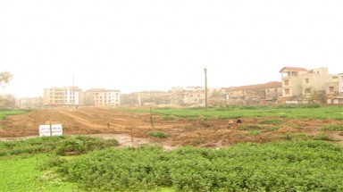  Chỉ có 1 ngôi mộ bị lấp