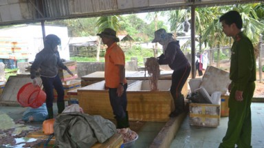  Bắt giữ 2 tấn nội tạng heo bẩn định đổ ra Bắc