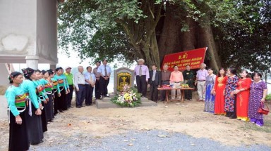 Cây Di sản-một nguồn gen cây thuốc quý