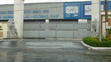 Điêu đứng vì Bianfishco lâm nợ