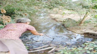  Tiền Giang: Trại heo của bí thư xã gây ô nhiễm