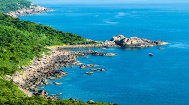 Viết tâm thư gửi Thủ tướng cứu Sơn Trà, Chủ tịch Hiệp hội du lịch gặp rắc rối