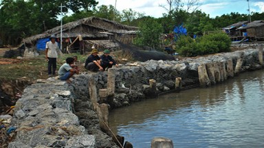 Cà Mau: Sạt lở giữa mùa biển lặng