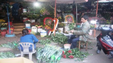  Cận 8/3: Đà Lạt hết hoa !