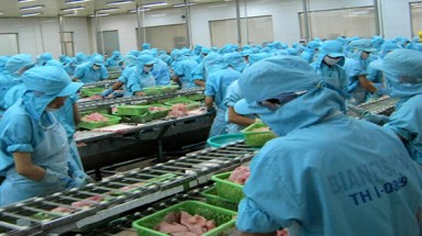 Vụ Bianfishco: Hàng ngàn công nhân điêu đứng