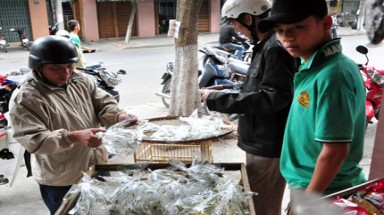 Châu chấu đắt hơn...tôm hùm !