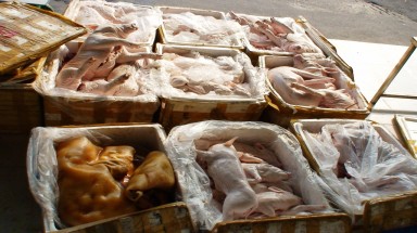  Phát hiện 2 vụ vận chuyển thực phẩm, gia cầm không rõ nguồn gốc
