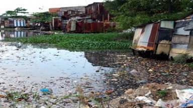  Sông Phan Vĩnh Phúc trước nguy cơ bị "bức tử" 