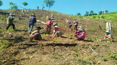 Chủ đề Ngày môi trường thế giới năm 2020 là về đa dạng sinh học