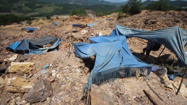  Bồng Miêu: Giá phải trả đắt hơn vàng!