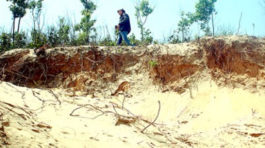 Cát tặc “băm nát” vịnh Lăng Cô