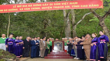 Tỉnh Cao Bằng long trọng tổ chức đón Bằng công nhận Cây Di sản Việt Nam