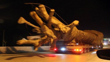  Thiếu tướng Nguyễn Hữu Dánh: Cây như "quái thú” trên QL1A không phải của tôi