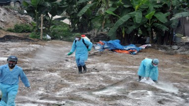 Hà Nội: Cúm gia cầm bùng phát