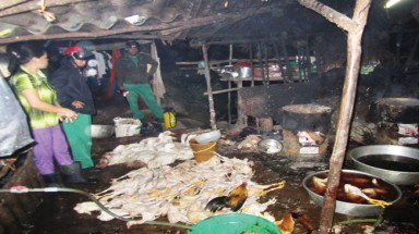  Ngành giết mổ sạch: Chết yểu