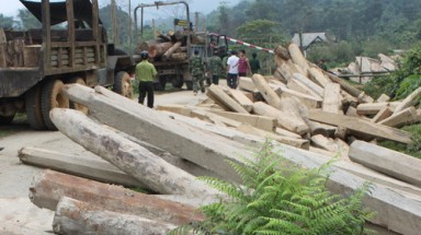 Khởi tố vụ án phá rừng lớn ở Hà Tĩnh