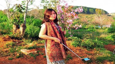 Nữ Phó giám đốc Sở Tư pháp Bình Thuận công khai xin lỗi vụ bẻ hoa