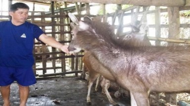  Làm giàu từ thú rừng