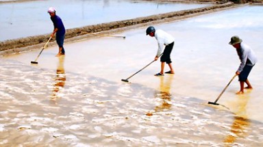 Kẻ buồn, người vui vì mưa trái mùa