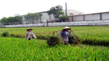Doanh nghiệp "tìm về" nông thôn 