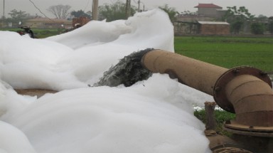  Cái chết của một dòng sông