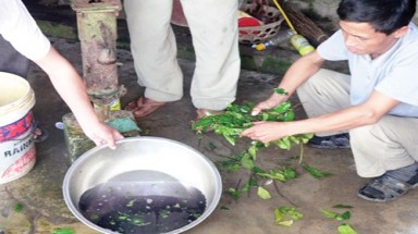  Bệnh tật vì uống nước nhiễm phèn