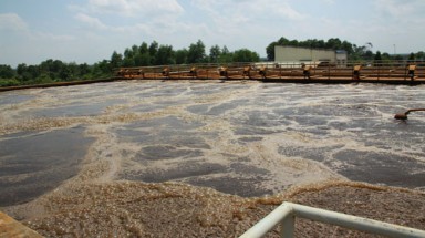  Không tính được tác hại do nước thải của Sonadezi Long Thành