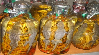  Tỉnh táo với rượu 