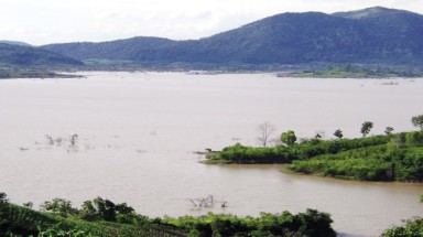  Quên "trả lại rừng"