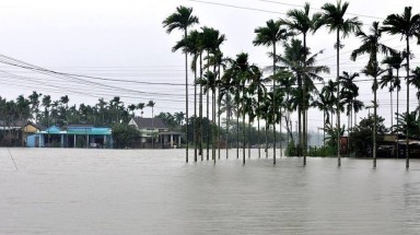  10 sự kiện môi trường nổi bật trong nước của năm 2016