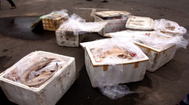  Những con đường tới bàn ăn của thịt bẩn