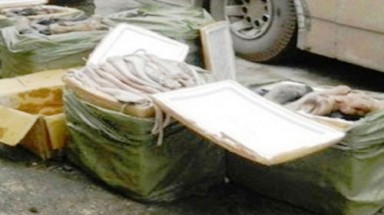  Quảng Trị: Phát hiện xe khách chở thịt thối 