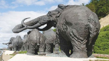  Giả thuyết mới về sự tuyệt chủng của voi ma mút