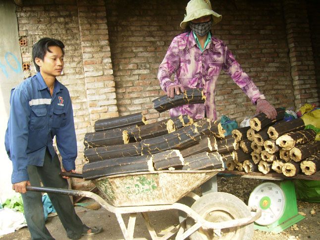 Củi trấu: Nguồn tài nguyên mới