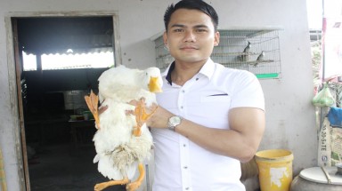 Vịt 3 chân và 4 chân ở Long An