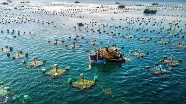 Nỗi niềm của biển
