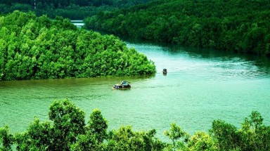 TP.HCM: Đề xuất thành lập Khu bảo tồn biển Cần Giờ