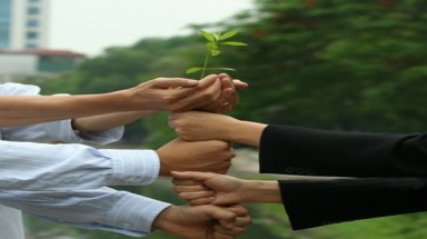  Công bố “Quỹ 1 triệu cây xanh cho Việt Nam”.