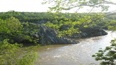 Nhiều tỉnh tăng cường các biện pháp bảo vệ môi trường sinh thái